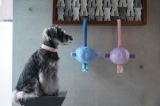 mmsu-ha BIG BALL TOY/シュナウザーとの引っ張り合いにオススメの犬用おもちゃ