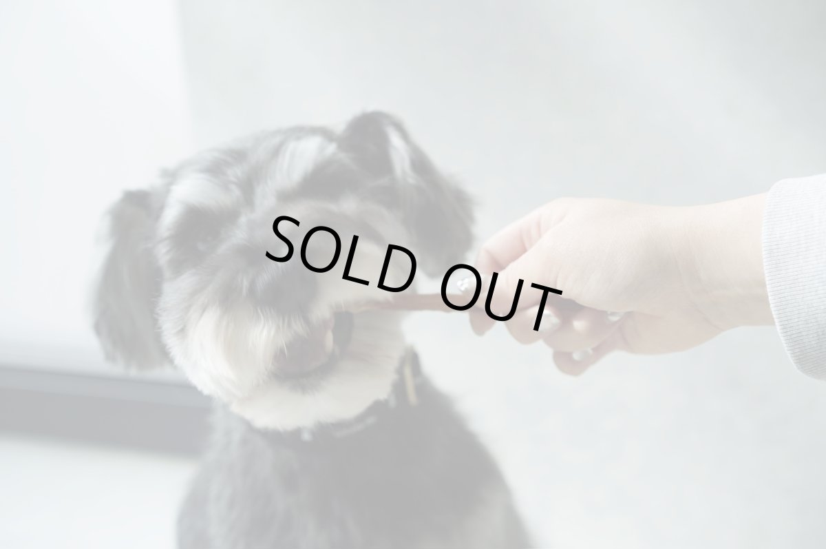 画像5: 【おやつ】馬肉アキレス(50g) 【mmsu-haプレミアム犬用オヤツ/ストレス解消＆歯石予防】 (5)