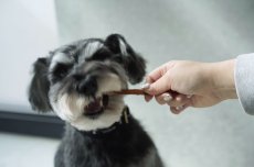 画像4: 【おやつ】〈短〉馬肉アキレス(50g)【mmsu-haプレミアム犬用オヤツ/ストレス解消＆歯石予防】【数量限定価格】 (4)