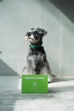 シュナウザーなどでお困りのシュウ酸カルシウム結晶・結石予防や尿路感染症・膀胱炎のケアに【飲むデザートサプリ/青リンゴジュースに】mmsu-ha(エムエムスーハ)プレミアム犬用デザートサプリメント