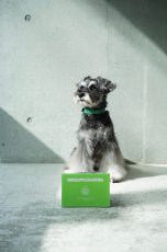 シュナウザーなどでお困りのシュウ酸カルシウム結晶・結石予防や尿路感染症・膀胱炎のケアに【飲むデザートサプリ/青リンゴジュースに】mmsu-ha(エムエムスーハ)プレミアム犬用デザートサプリメント