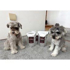 mmsu-haの馬肉フードを食べてくれているミニチュアシュナウザーたち