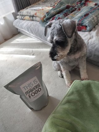 レビュー1330-投稿画像1