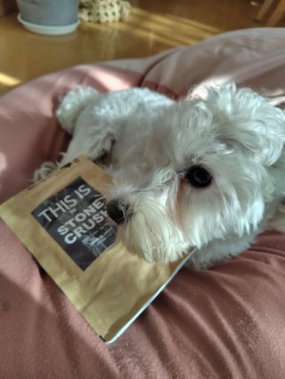 レビュー1274-投稿画像1