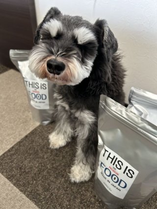 レビュー1297-投稿画像1