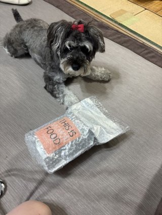 レビュー1271-投稿画像1