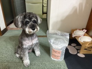 レビュー1271-投稿画像2