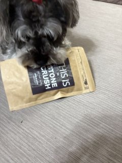 レビュー1272-投稿画像1