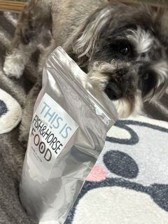 レビュー1313-投稿画像1