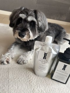 レビュー1303-投稿画像1