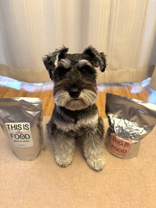 レビュー1337-投稿画像1