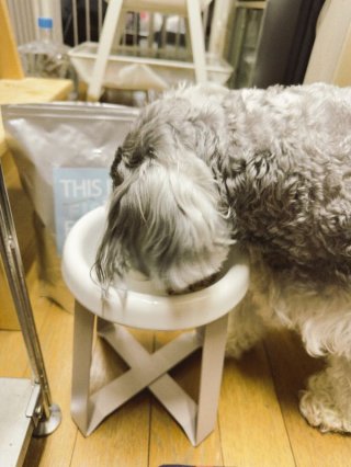 レビュー1345-投稿画像2