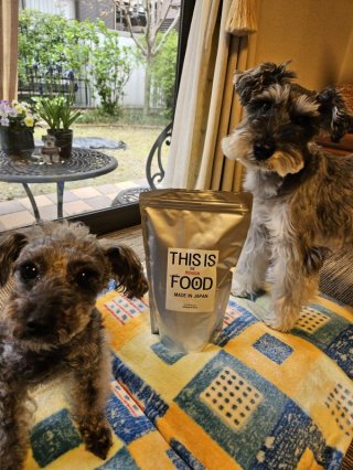 レビュー1338-投稿画像1