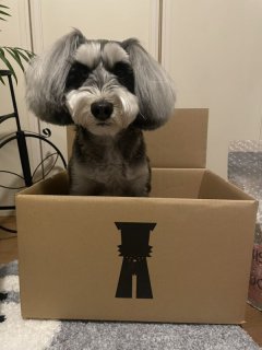 レビュー1349-投稿画像2