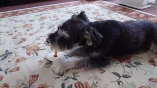 レビュー1257-投稿画像1