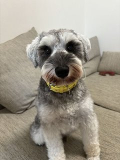 レビュー1278-投稿画像2