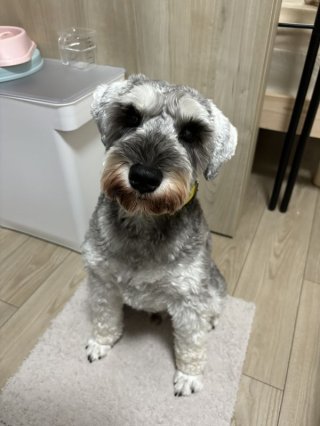 レビュー1279-投稿画像2