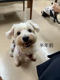 レビュー1219-投稿画像2