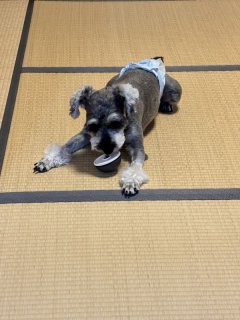 レビュー1350-投稿画像1