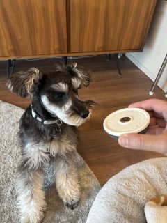 レビュー1197-投稿画像1