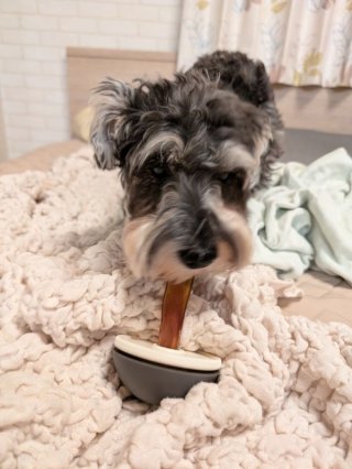 レビュー1218-投稿画像1