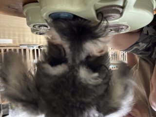 レビュー1222-投稿画像1