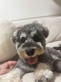 レビュー1269-投稿画像1