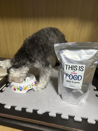 レビュー1292-投稿画像1