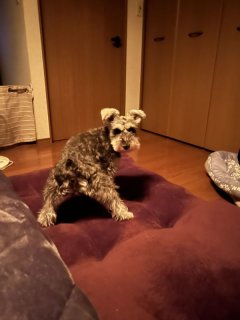 レビュー1292-投稿画像2