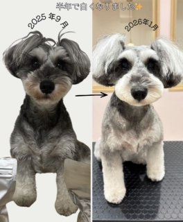 レビュー1319-投稿画像1