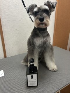 レビュー1260-投稿画像1