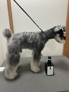 レビュー1260-投稿画像2