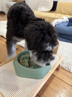 レビュー1284-投稿画像2