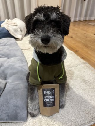 レビュー1287-投稿画像1