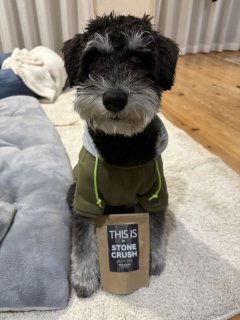 レビュー1287-投稿画像1