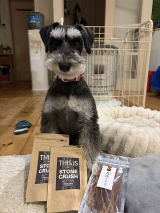 レビュー1316-投稿画像1