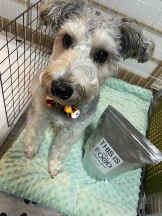 レビュー1264-投稿画像1