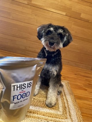 レビュー1283-投稿画像1