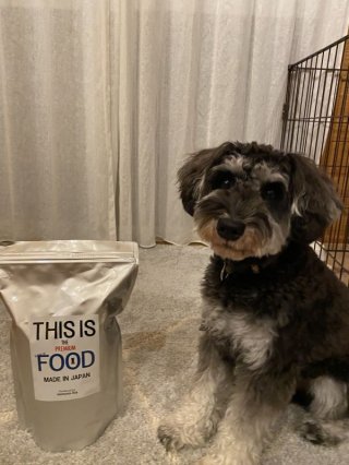 レビュー1283-投稿画像2