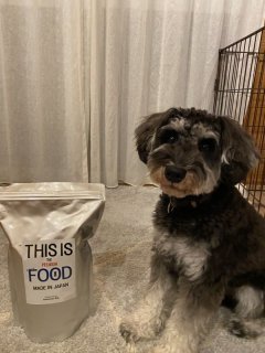 レビュー1283-投稿画像2