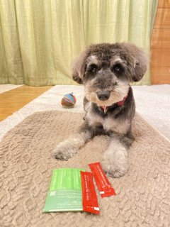 レビュー1333-投稿画像1