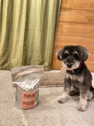 レビュー1334-投稿画像1