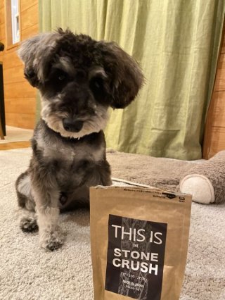 レビュー1335-投稿画像1