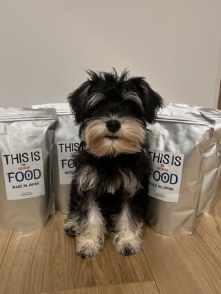 レビュー1290-投稿画像1