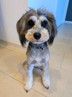 レビュー1302-投稿画像2