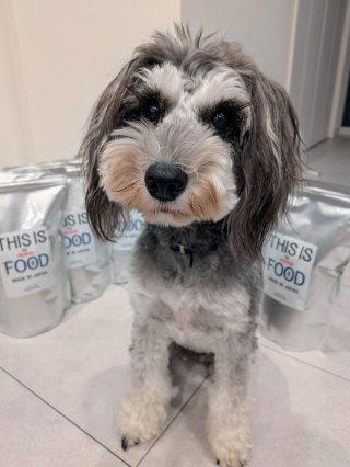 レビュー1302-投稿画像1