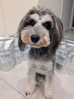 レビュー1302-投稿画像1