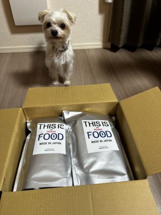 レビュー1275-投稿画像2