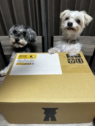 レビュー1275-投稿画像3