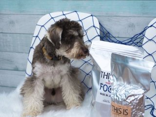 レビュー1293-投稿画像2